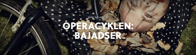 image_billede_bajadser