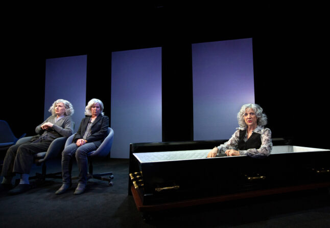 Maddiker - Folketeatret - Set and costume design by Gøje Rostrup - Photographer Thomas Petri.